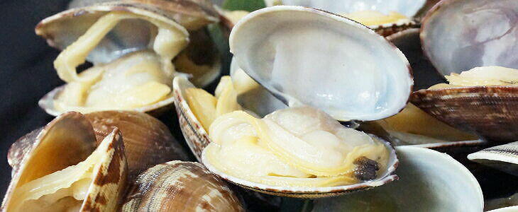 Baby Clams